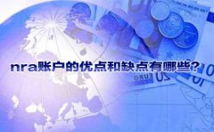 nra賬戶的優(yōu)點(diǎn)和缺點(diǎn)有哪些？
