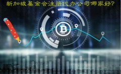 新加坡基金會注冊代辦公司哪家好？